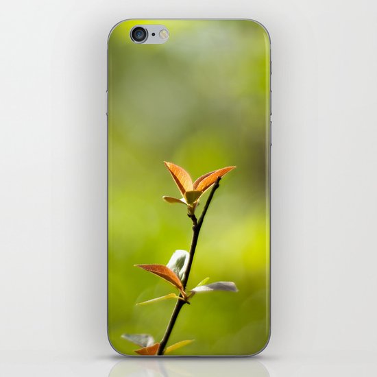 Spring Begins iPhone & iPod Skin