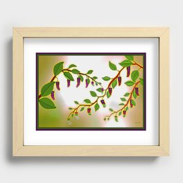 The Wild Poke Berry Weed Recessed Framed Print