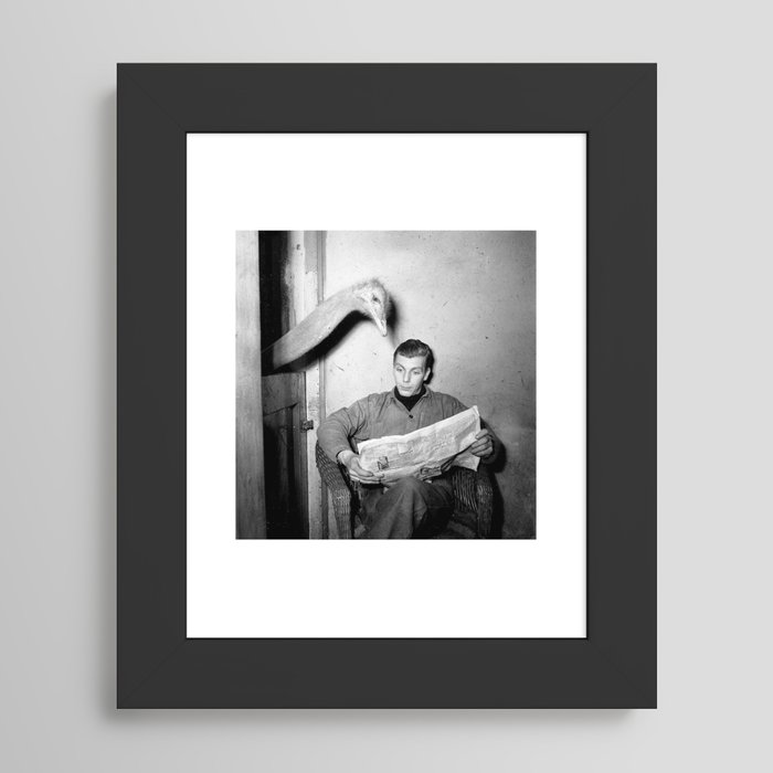 Framed Art Print