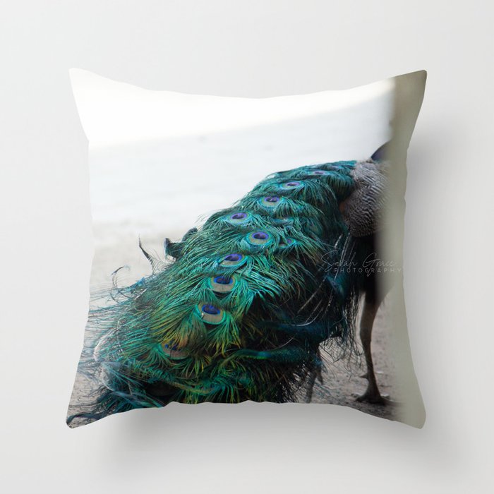 Peacock accent 2025 pillows