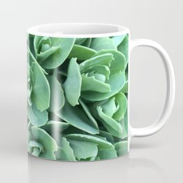 Green Stonecrop flowers Coffee Mug