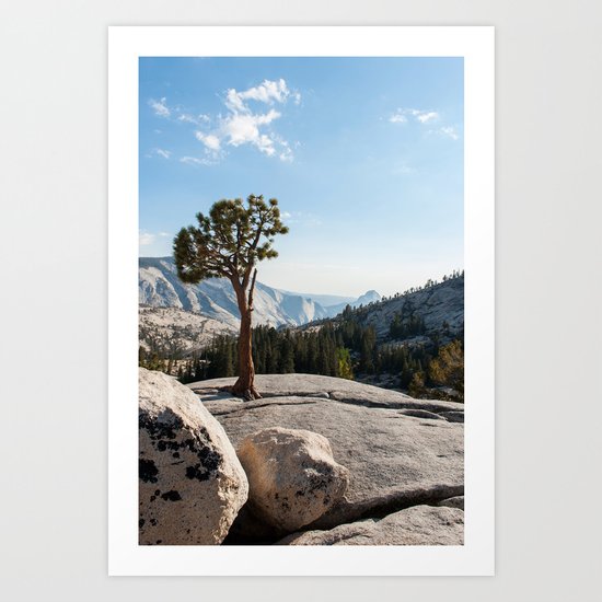 Yosemite Park Art Print