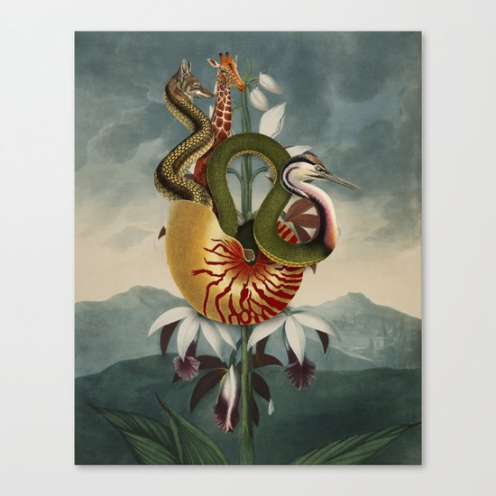 Countess Canvas Print