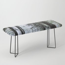 Scottish Pine Forest Misty View in I Art and Afterglow  Bench