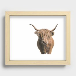 Highland cow Recessed Framed Print