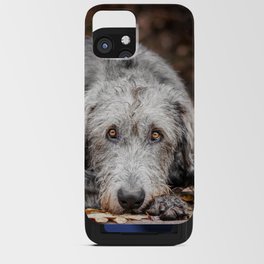 Irish Wolfhound lies on the pad with fallen autumn leaves. iPhone Card Case