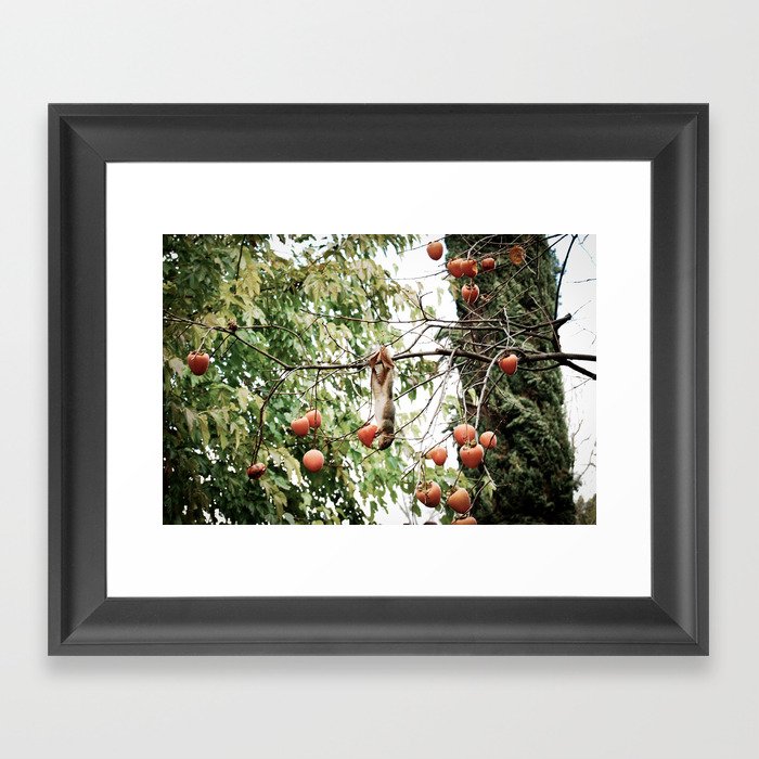 Caught in the Act Framed Art Print