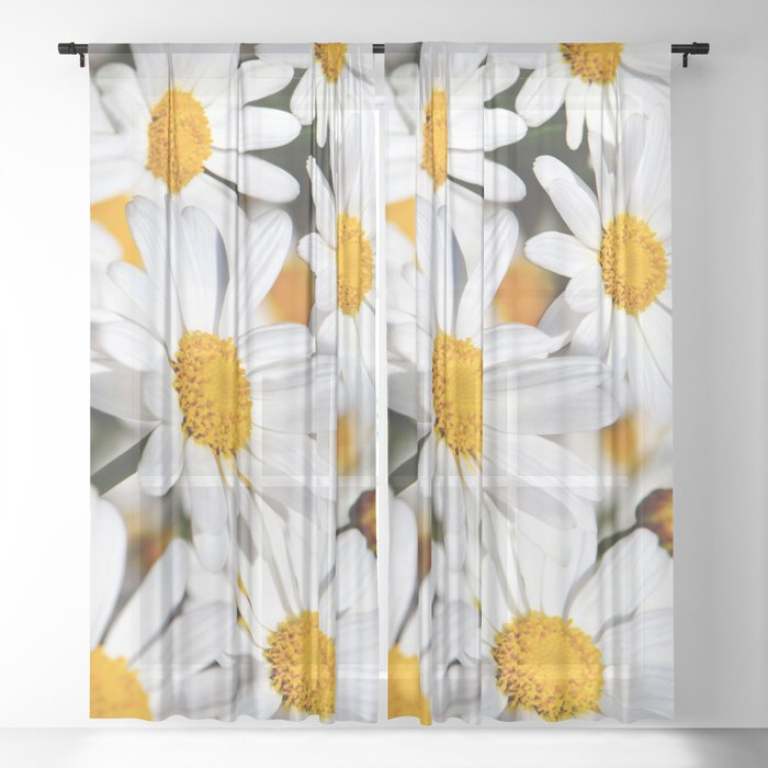 Sheer Curtain