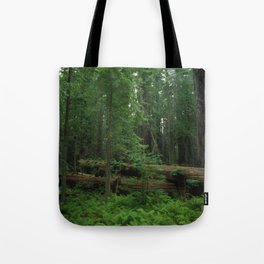 Fallen Tree in The Dense Forest Tote Bag