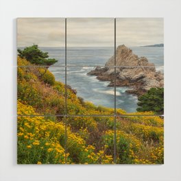 Woolly Sunflowers on Slope Wood Wall Art