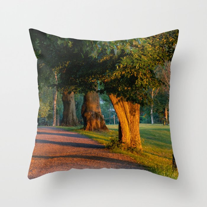 Dawn Stockholm Throw Pillow