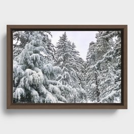 Among the Snowy Pines Framed Canvas