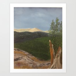 A View from Squaw Pass Art Print