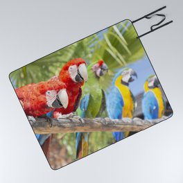 Curious macaws Picnic Blanket