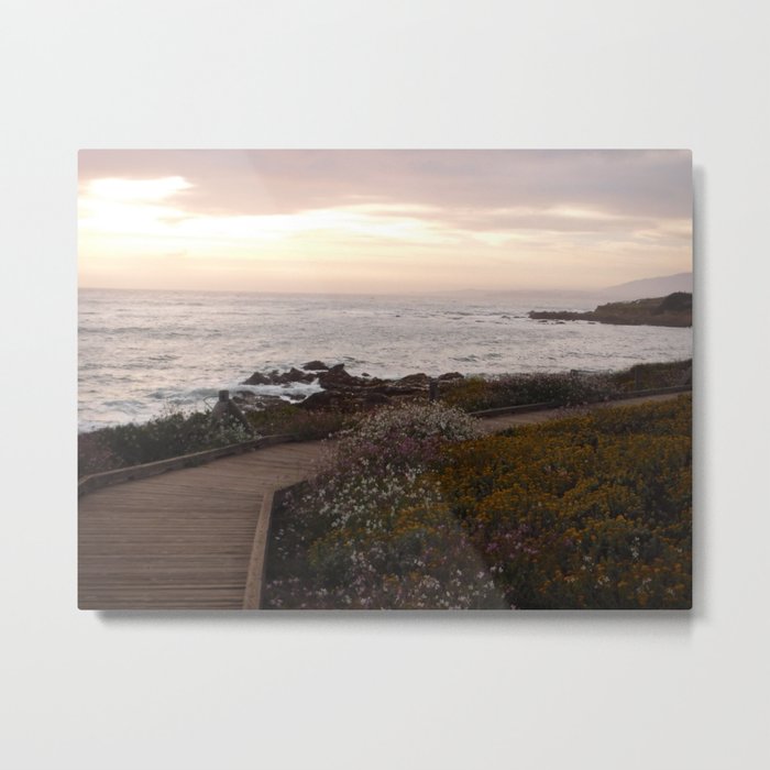 On the right path - Wildflowers bloom for those in love Metal Print