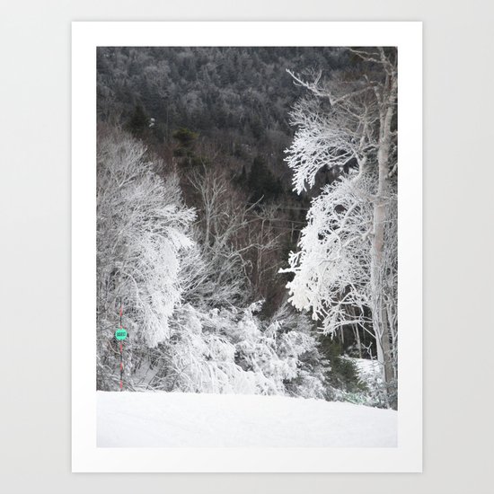 Frosted Art Print