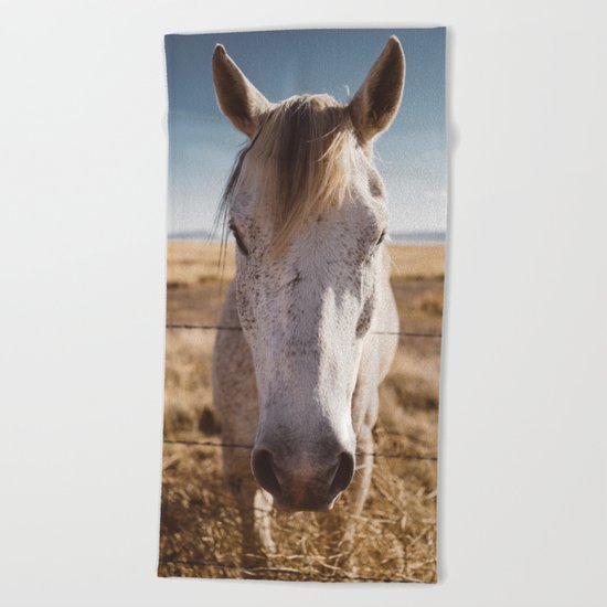 West Texas Wild Beach Towel
