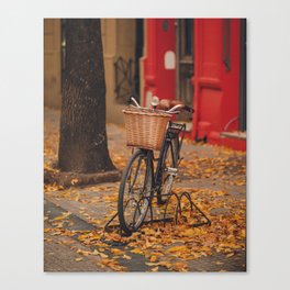 Autumn bicycle | Street photography | A bike in a Buenos Aires street surrounded by autumn leaves Canvas Print