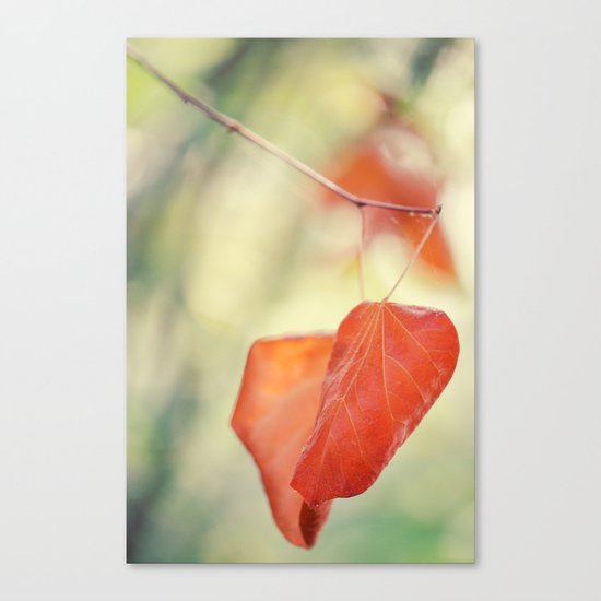 If You Forget Me Canvas Print