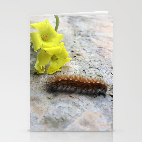 Passerby! Stationery Cards