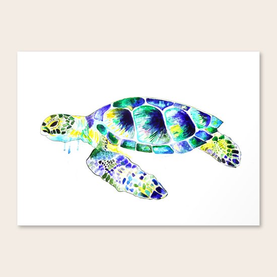 Turtle Canvas Print