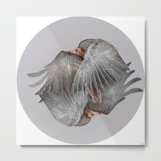 The vulture Metal Print