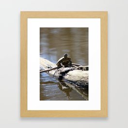 A Relaxing and Balancing Turtle Framed Art Print