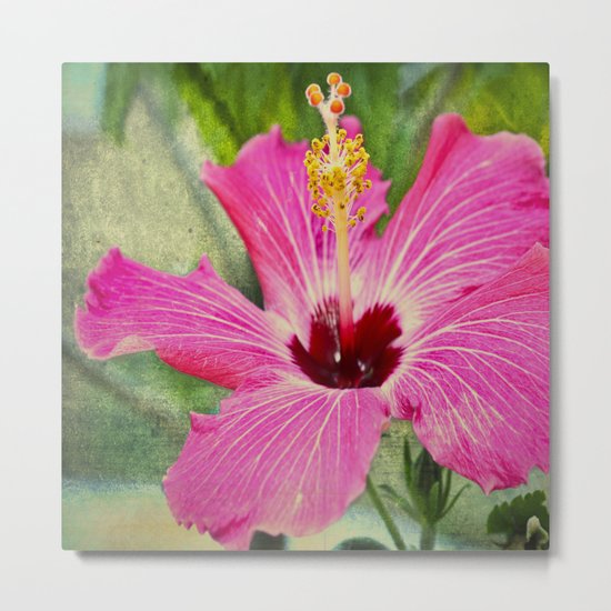 Flower Metal Print