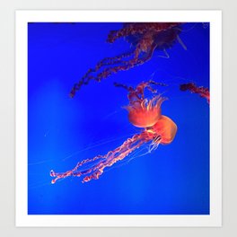 Orange Jellyfish  Art Print