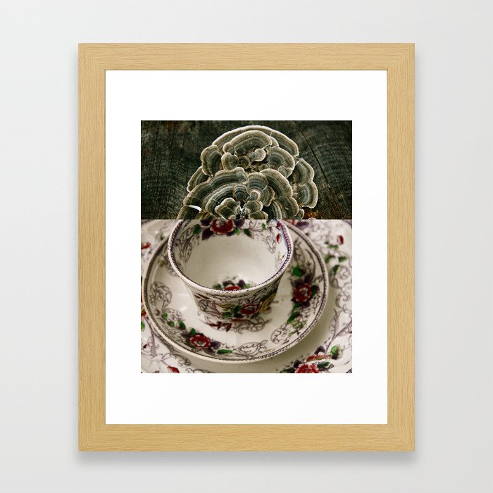 Fungal Tea Framed Art Print