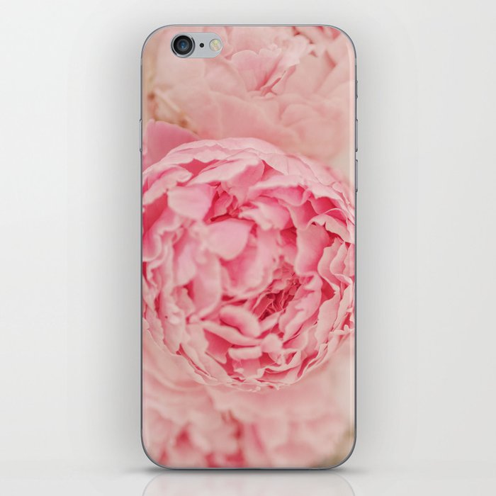 Peony crush best sale