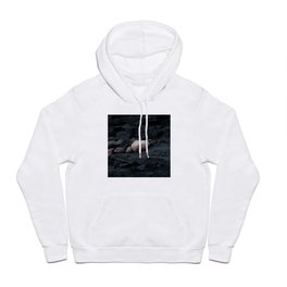 Formation Hoody