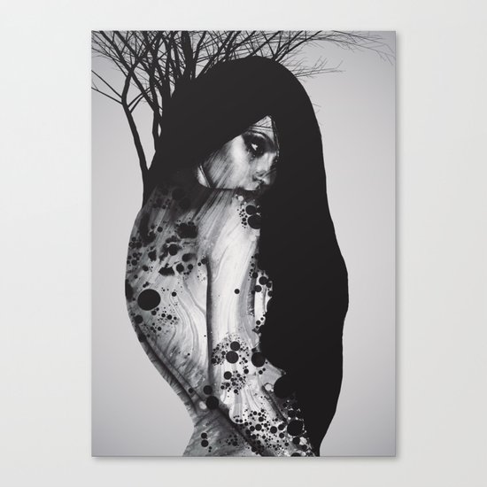 Shadowplay Canvas Print