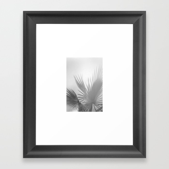 Palm on the Wall - Mexico Framed Art Print
