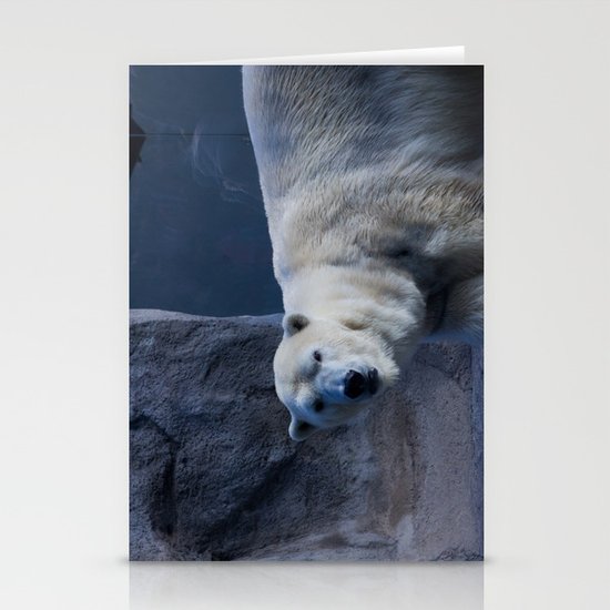 Polar Bear Stationery Cards