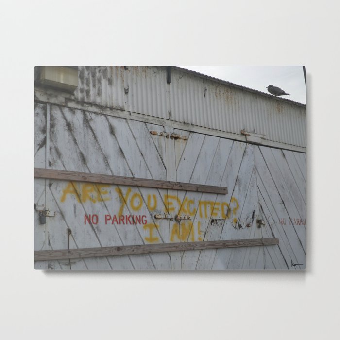 Are You Excited? Metal Print