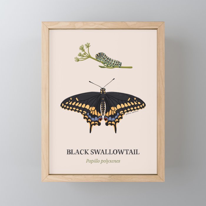 Black Swallowtail Framed Mini Art Print