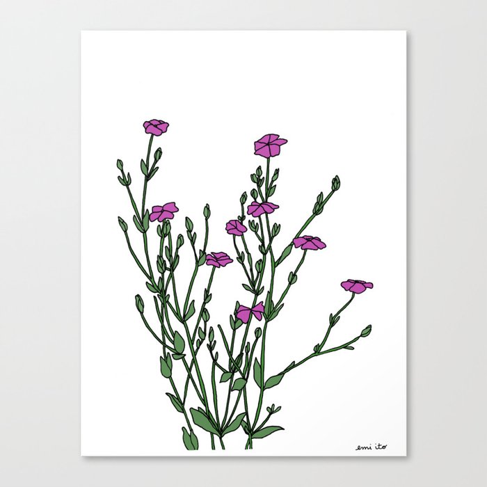 Connecticut Wildflowers Canvas Print