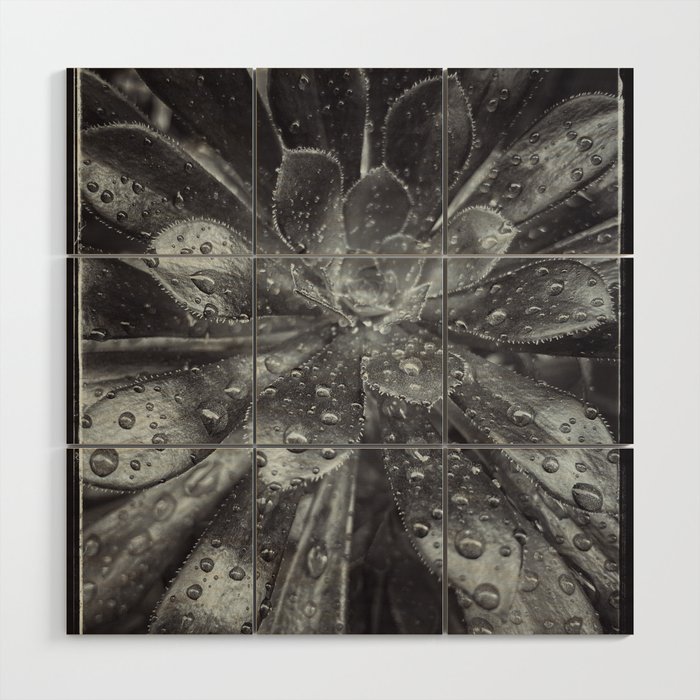 Raindrops bw Wood Wall Art