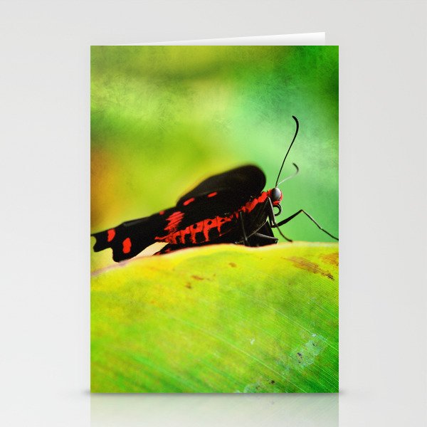 BFX | red 'n black (butterfly) Stationery Cards