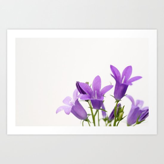 PURPLE FLOWERS - Bellflowers #2 #decor #art #society6 Art Print