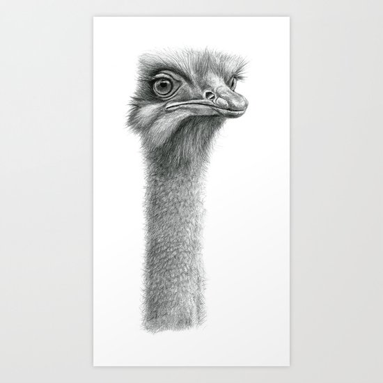 Funny Ostrich SK060 Art Print