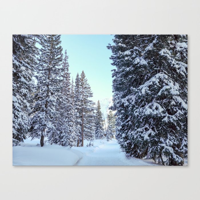 Path Through Snow Covered Trees Canvas Print