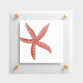 Orange Starfish ~ white background Floating Acrylic Print