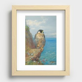Peregrine at Auchencairn by Archibald Thorburn, 1923 (benefitting The Nature Conservancy) Recessed Framed Print