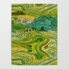 Terraced Rice Paddy Fields Poster