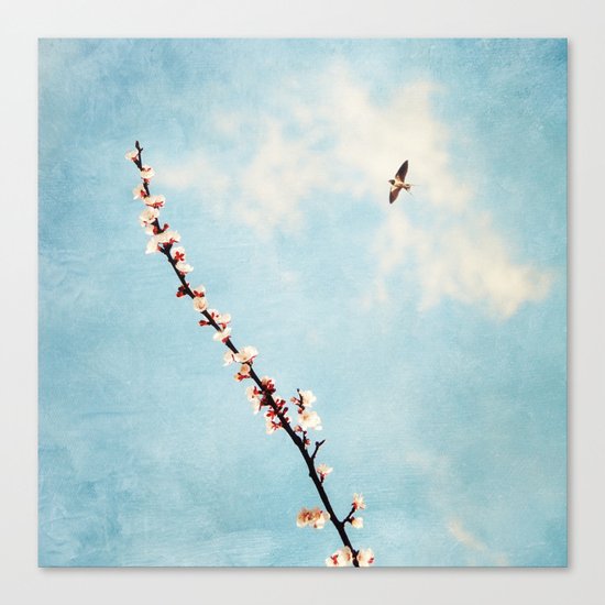 Spring Canvas Print