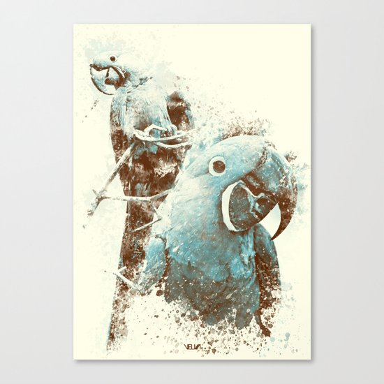 Brazilian Arara Canvas Print