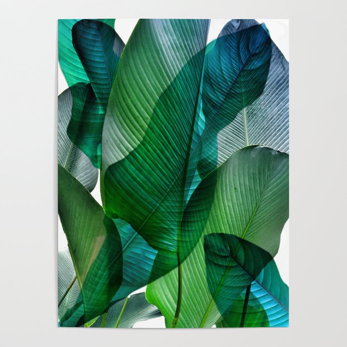 Palm leaf jungle Bali banana palm frond greens Poster