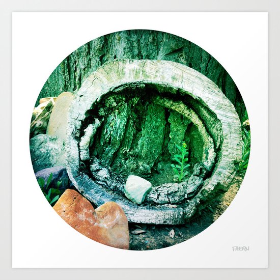 Circle Of Bark Art Print